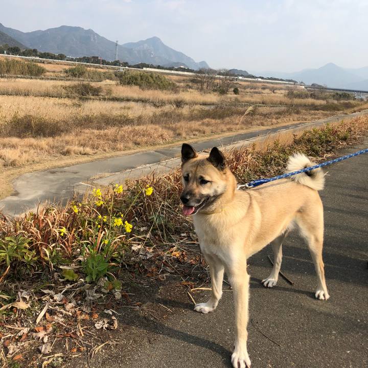 Facf316d 23c3 40d7 a452 0df0124db8bc 1550373142102