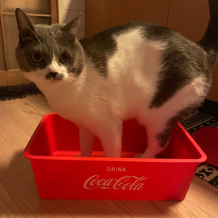 Facf4dda a02c 4e10 ae8e dcb11839ef14 1666176705355