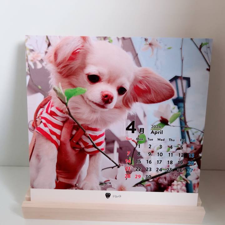 Facf51ca 4713 45c6 a538 2b6ef6172964 1712050774256