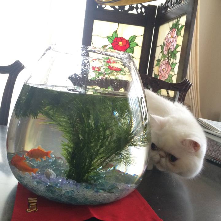 Facf6d0b ed2e 49ed 8236 450bd92d4f9d 1515934219801