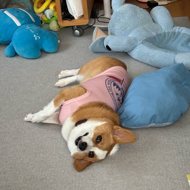 Facf8931 e337 45fa 8316 289d4e1a3876 1757126891014