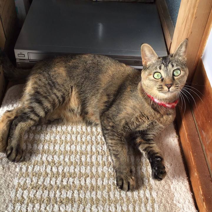 Facf8e14 dcad 488a a311 40aa1d013d19 1609992740114