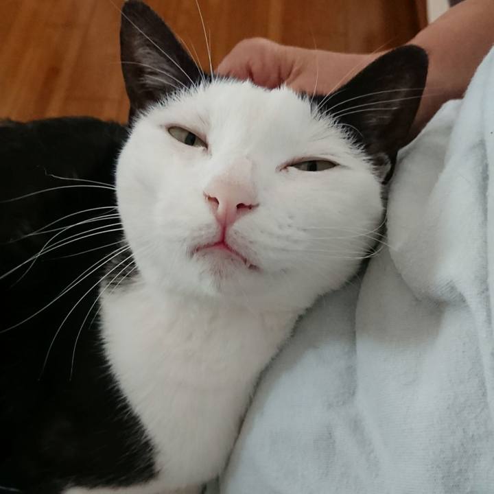 Facfac22 4003 4c69 9181 ba8ae799b500 1534731735414