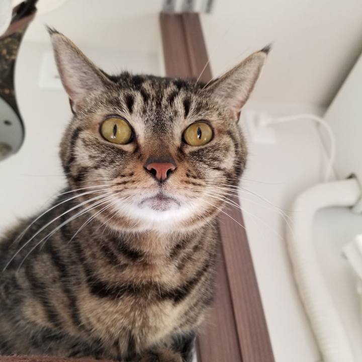 Facfbc25 adb1 4062 bc61 07e4b6214152 1605312000209