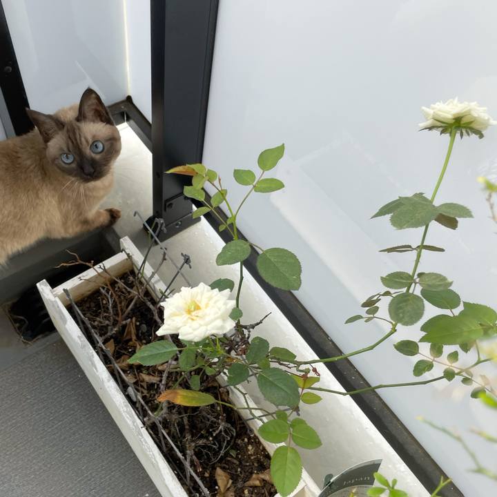 Facfca21 6d1c 4c87 8382 2e5b86dd2f61 1758589283937