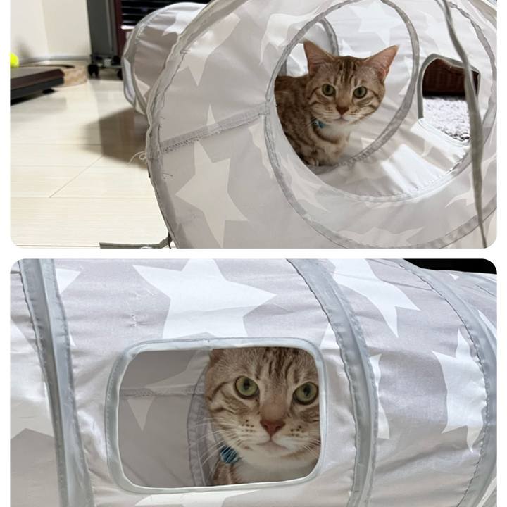 Fad008d2 a61b 4db5 8da2 69f9bc4c3a8b 1672905185631