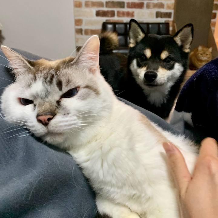 Fad0352f 80b8 4d5b b9e1 d2425138eb3a 1642674245698