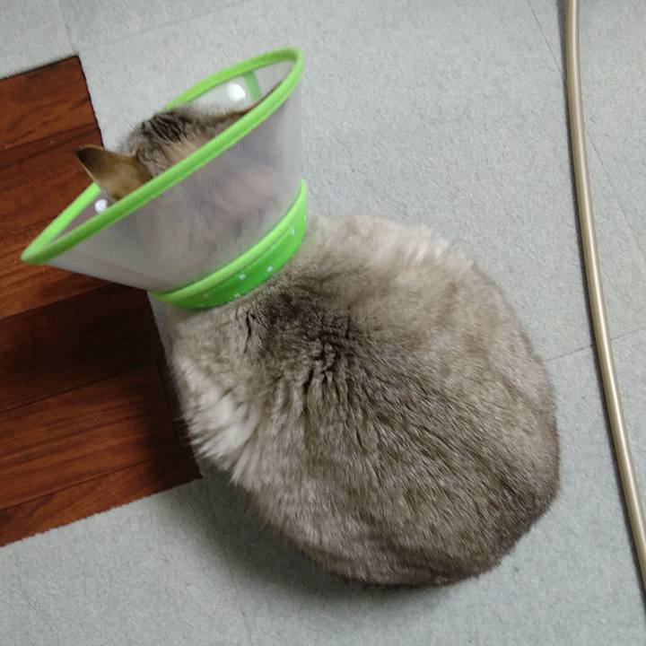 Fad05149 b2d9 48fe b35b 6b48f7a5a8d2 1734779613671