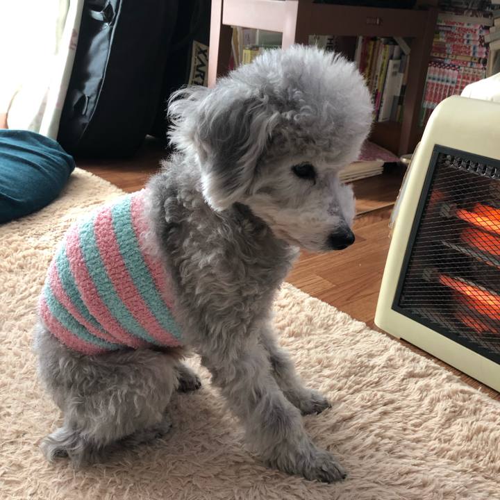 Fad05dae d8b7 485b bceb e4729bb43683 1549148107943