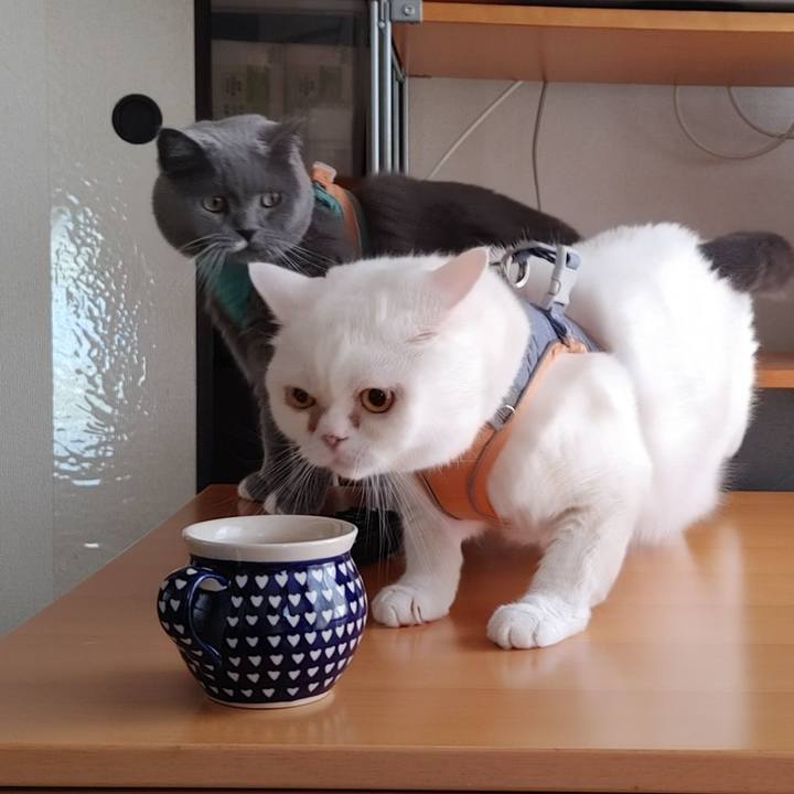 Fad061e2 6c0e 4551 96f0 2952513c2aea 1656028435312