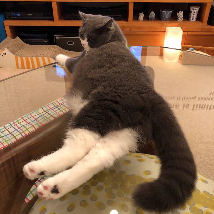 Fad0bcc5 2f16 4eaa 9600 46522fceb8dc 1540297242802