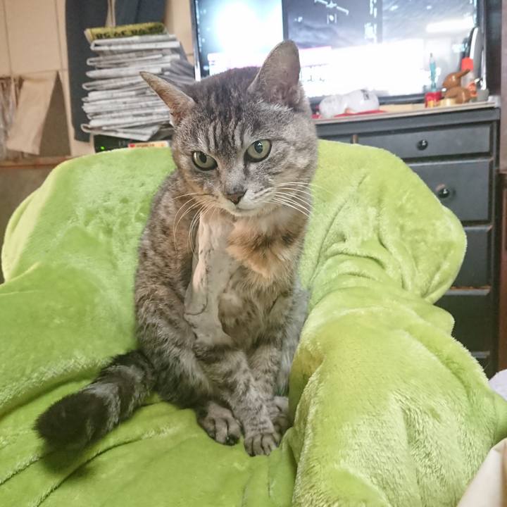 Fad0bf6a 461c 452b 9f95 29e288dc75ed 1588024238364