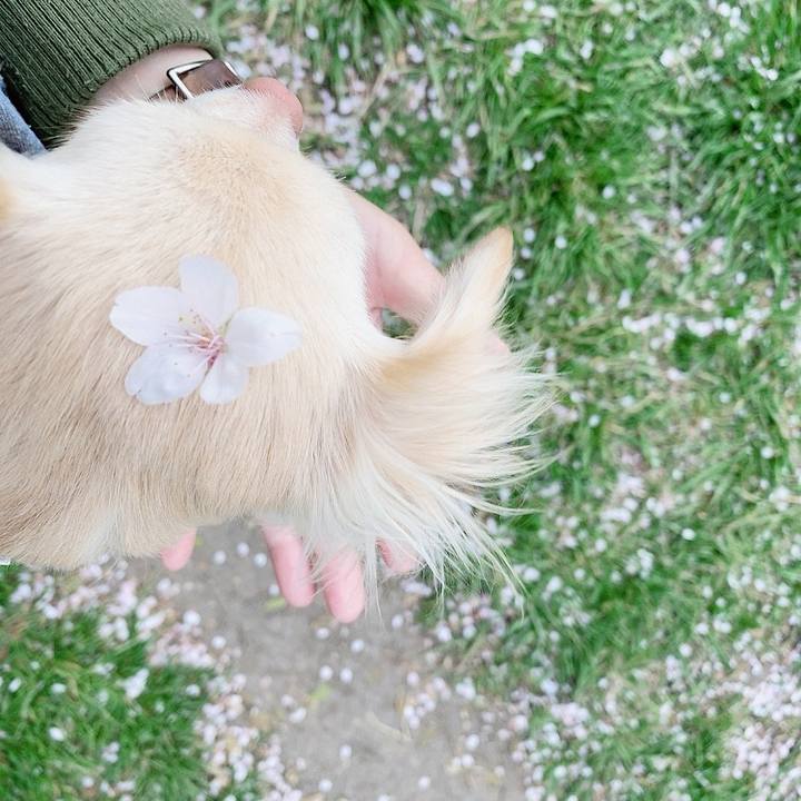 Fad0bff4 a824 45cb ada8 b10747beaf9b 1617363929725