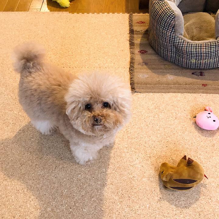 Fad100bb 64b7 445d 85b6 0a26d040bd5d 1550665648752