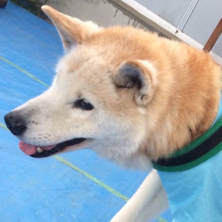 Fad11b03 90f9 4279 8383 14b905ddd780 1528302191473