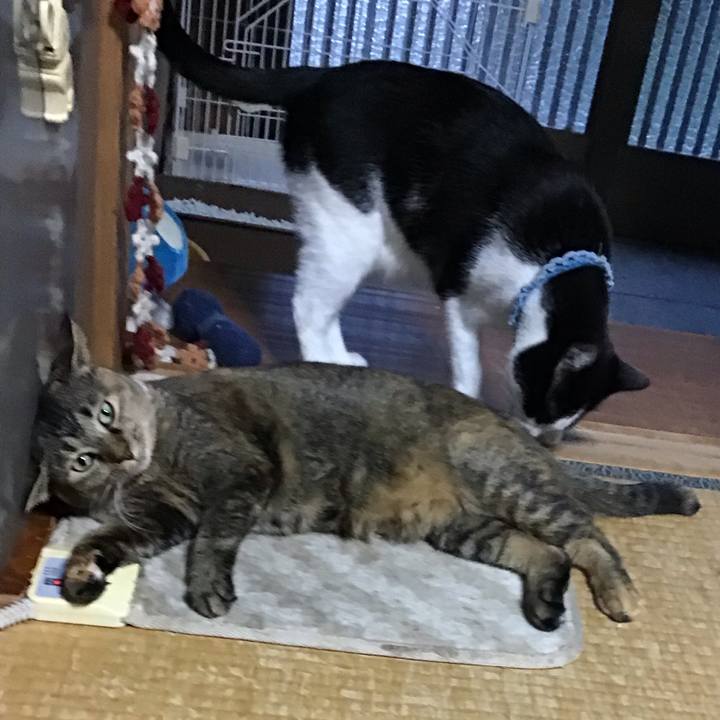 Fad12017 4f98 4c18 9dc3 436ea439478c 1665391121211