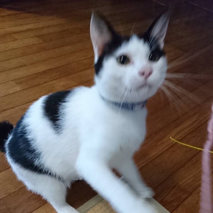 Fad134e1 6aba 4d81 9b39 e68421c4e090 1590841519653