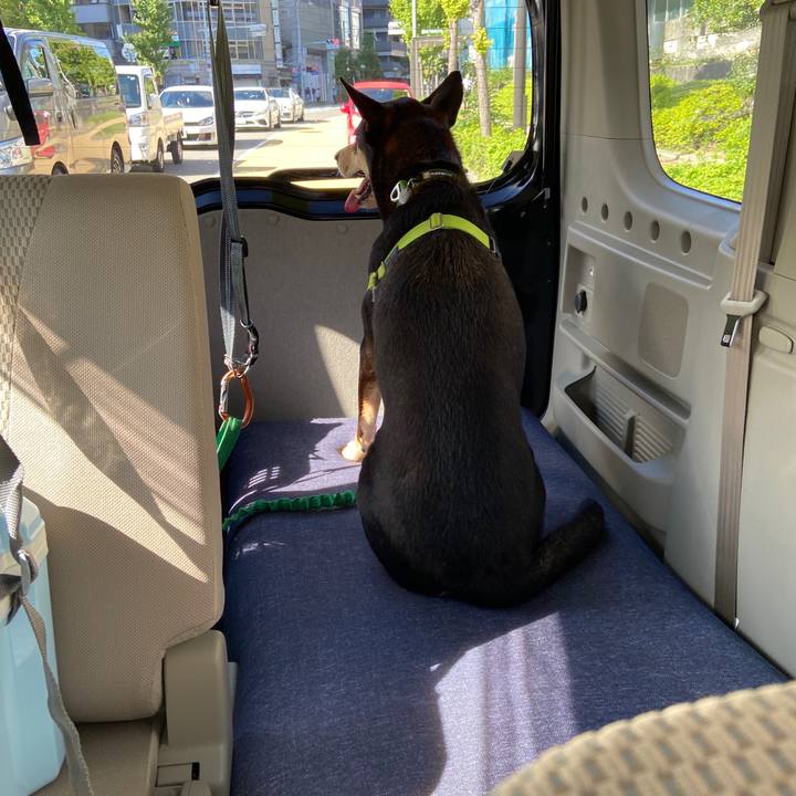 Fad13d7f 4c35 4af9 a9d2 915b013c53c6 1630930343555