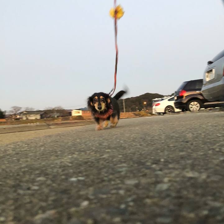 Fad142be 6e4b 4a9b bf37 83780b0100c8 1580185232621