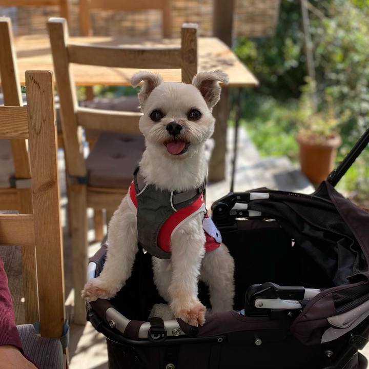 Fad149ea 5add 4f87 ac85 0fa0e5c48ec8 1604827004896