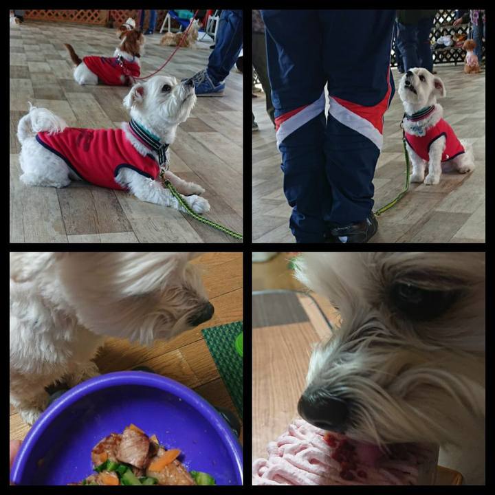 Fad2a25d caf7 4e65 808b 9b92fb836494 1553425158452