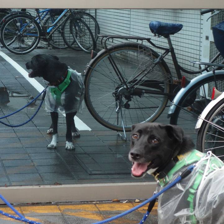 Fad2fc48 e423 4d7c b617 d6efc06dcf09 1594255389420