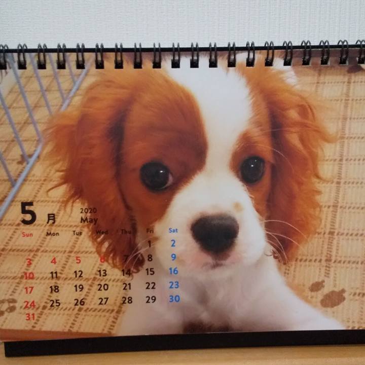 Fad3155c 785f 4ca9 9b9b 07917d2d3cdb 1589030338491