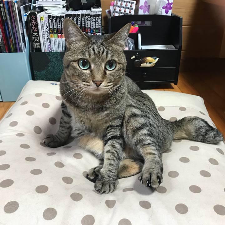 Fad33f15 b196 41ce 8e7e 36a8063a739f 1532218564374