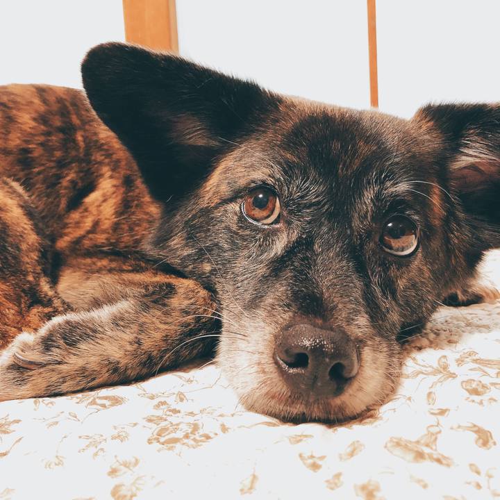 Fad35aae 599f 4f5e 8d65 abfd25e3c6a5 1594107152422