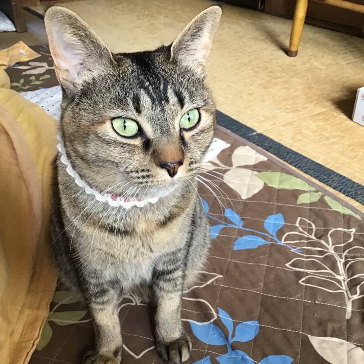 Fad35d02 4b7a 42fa 82d9 1ab7a5205432 1651454886625