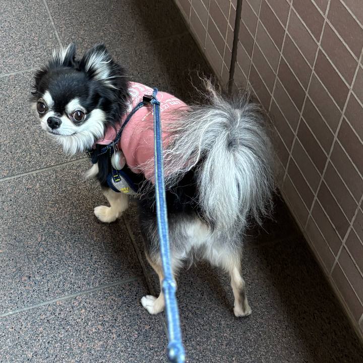 Fad360f1 b373 4de2 afab 3a22b3a3692f 1763310732111