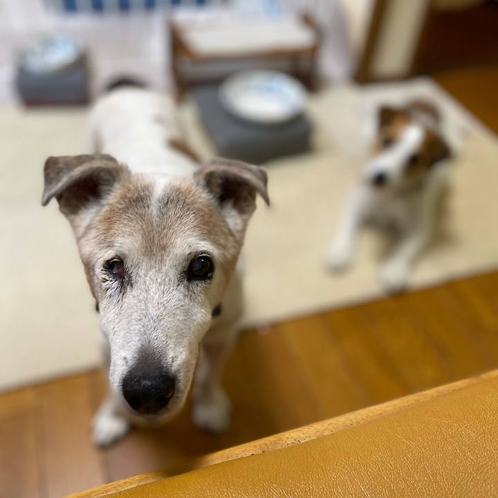 Fad383e2 1021 416b bb38 3565ac8ef49b 1723504139568