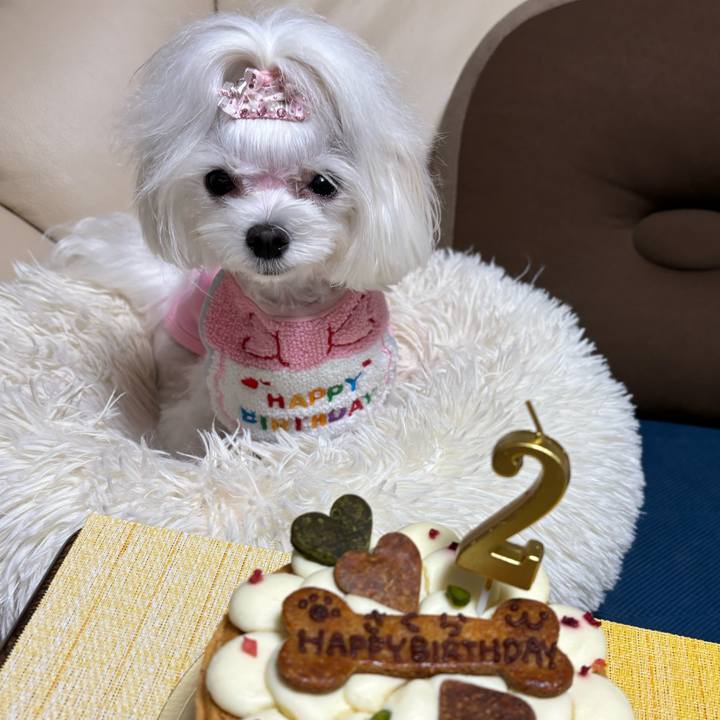 Fad39797 3c77 430e b5da 67568430ae12 1758356458121