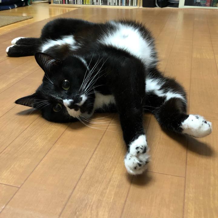 Fad3b49a cf5e 4c68 abad 4153e755f61f 1591502947953