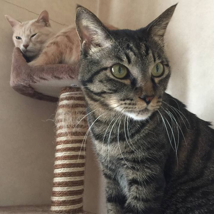 Fad3b815 17d6 4f22 8158 694c04326f6e 1513139202854