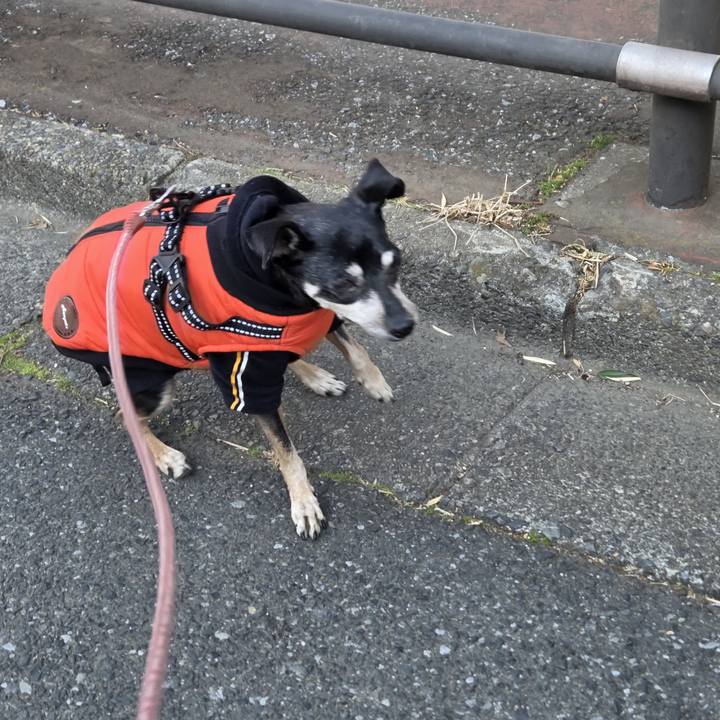 Fad3bb69 06ac 42f4 ae6a 1fe376ea7dbf 1771203933193