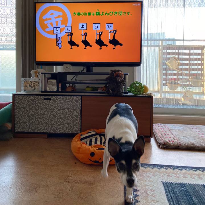 Fad3cd7e ecfc 413b aa93 d5a5510b6e7a 1604008755981