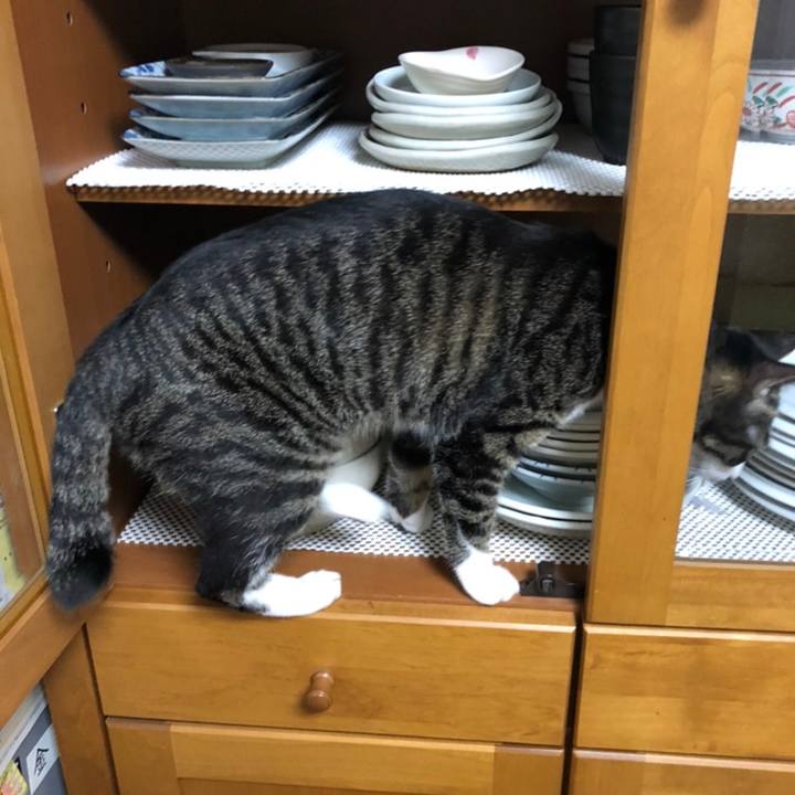 Fad3e4a0 4b39 43a1 9080 ba1de2adbed8 1558209547208