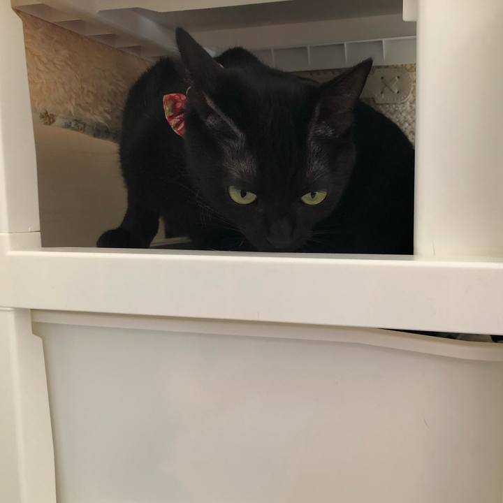 Fad3eb38 88dc 4817 929a bd7aa8dccbb9 1512778789029