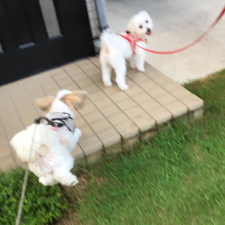 Fad401ac fe9f 4240 bc6f bc9e3117b761 1566341821447