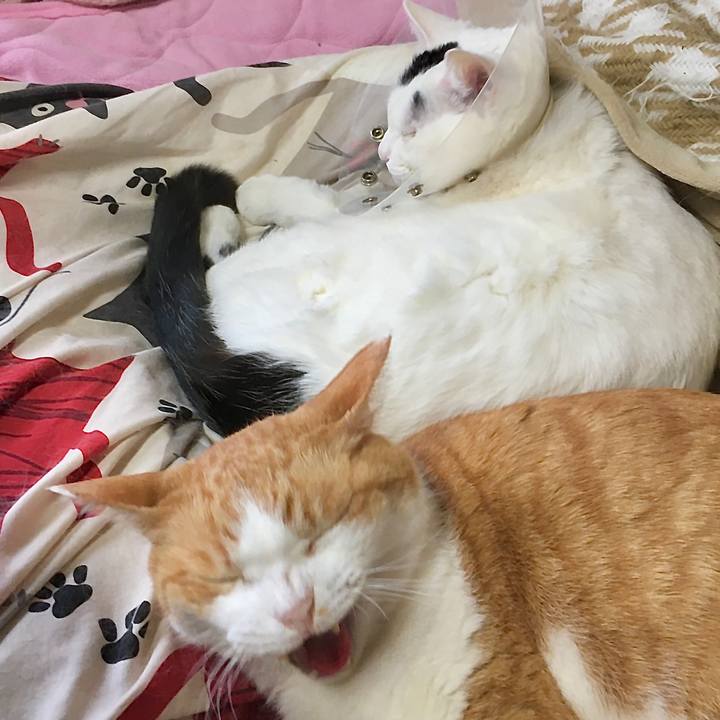 Fad40555 560b 4f64 b95f 3ca6b50d8d94 1583737558071