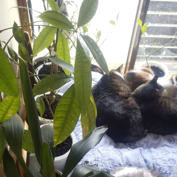 Fad41afc 16f1 4f78 a4d1 cca81996366b 1709791764387