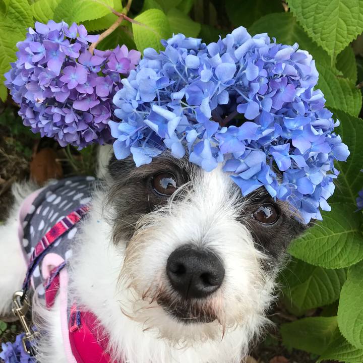 Fad45364 d7aa 4f38 9f7e 3cd0261952a7 1591260293984