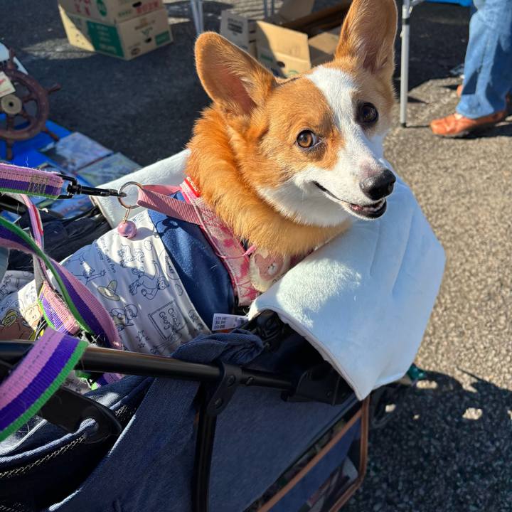 Fad463f2 8a03 4284 996c bc70748b7060 1766892090619