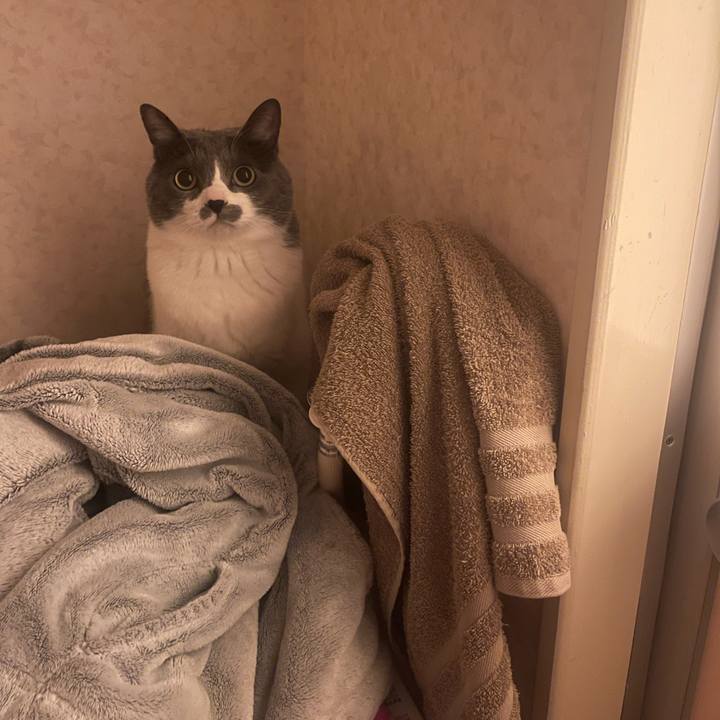 Fad4dfa3 7d04 42a1 94cb 280dd68a7ac1 1744812284532