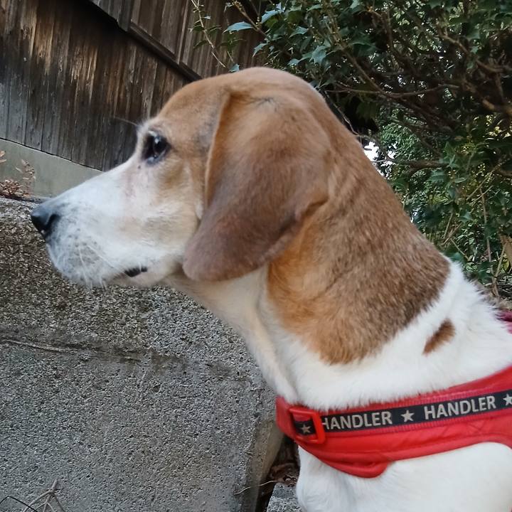 Fad4fda1 ca6f 4936 af62 5faf44ec26fb 1763257483228