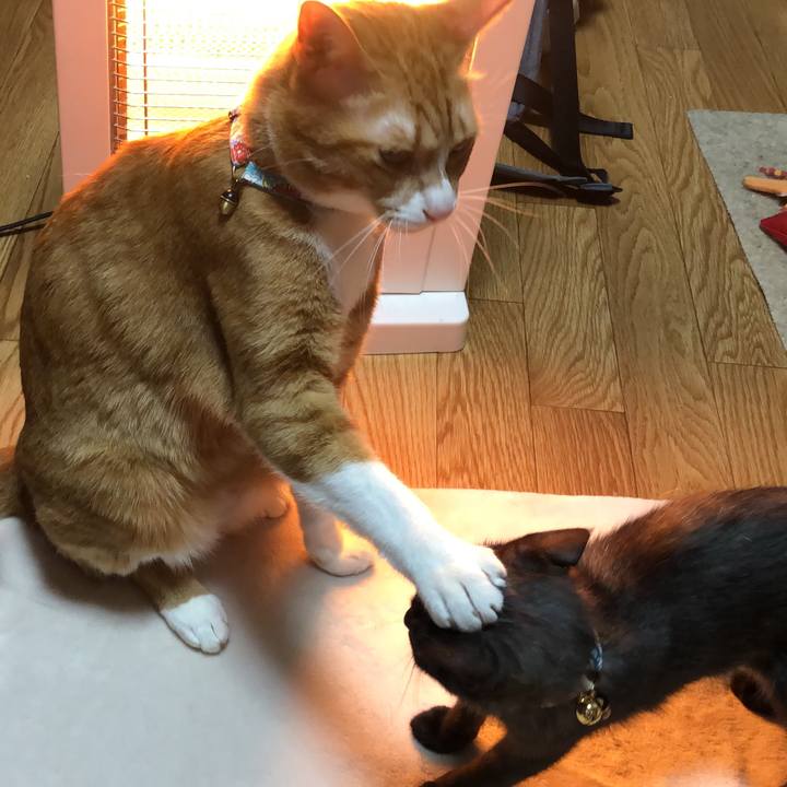 Fad5041e ef33 4745 b91e 5cc887a87927 1608837026939