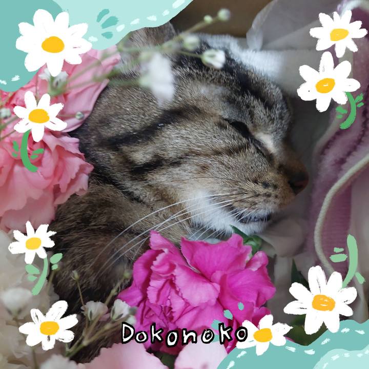 Fad50687 db92 4490 b161 8711393d704f 1712199479151