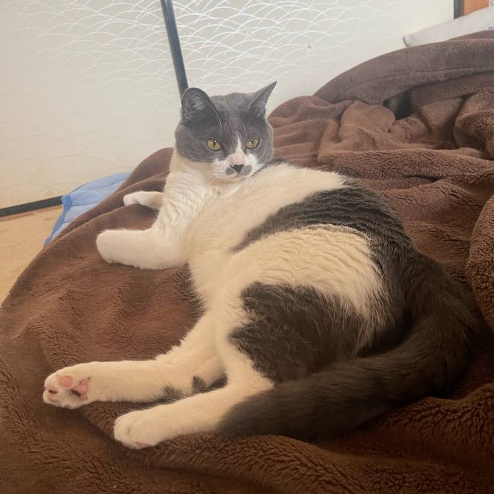 Fad51342 4cee 4ce0 a6e3 dec97c877894 1685235505168