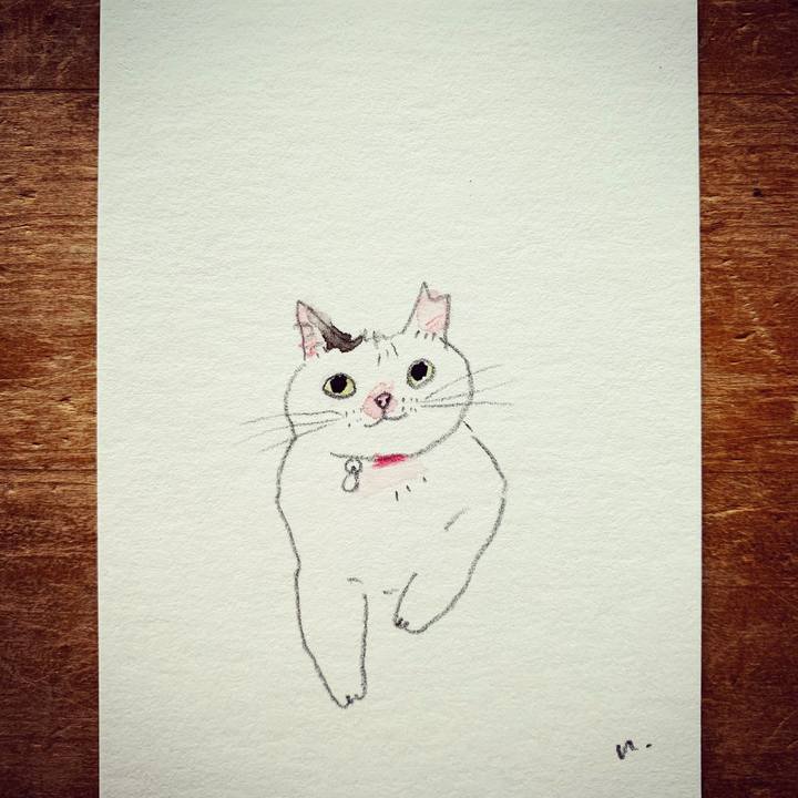 Fad52887 3ff2 4bee b9a9 879d18986da3 1613006001048